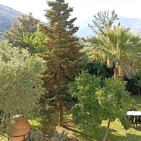 Villa Karapataki Skala Rachoni  Exterior foto